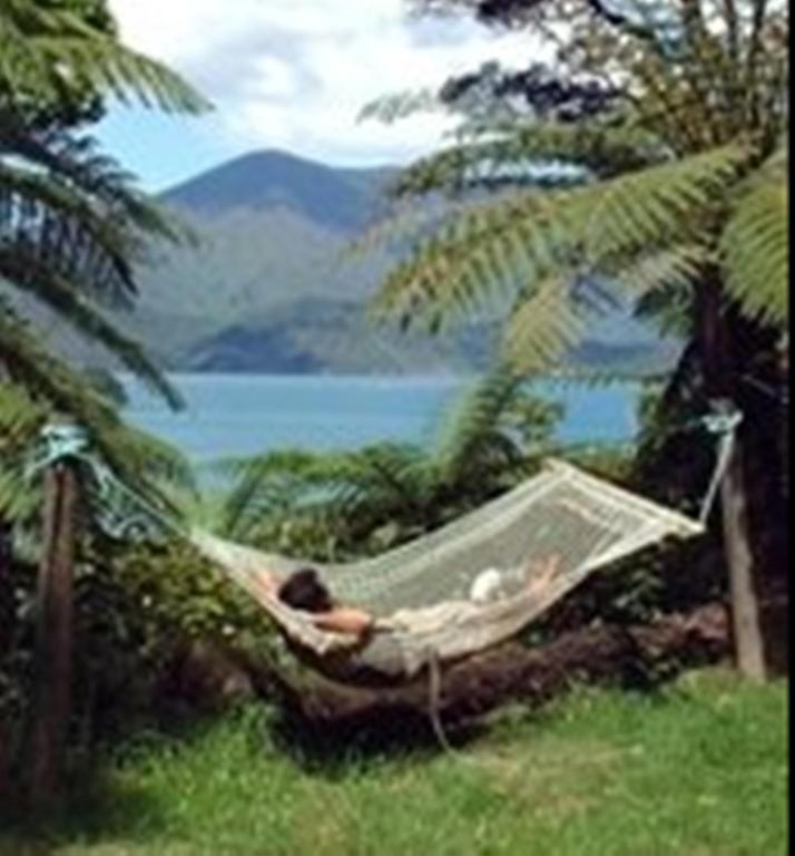 Lochmara Lodge - 20Mins By Boat From Picton Lochmara Bay Exteriér fotografie
